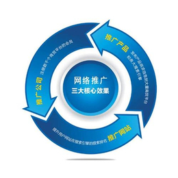 硚口區網絡推廣策略與農業技術服務的發展路徑
